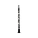 Clarinetto SIb JCL700NQ