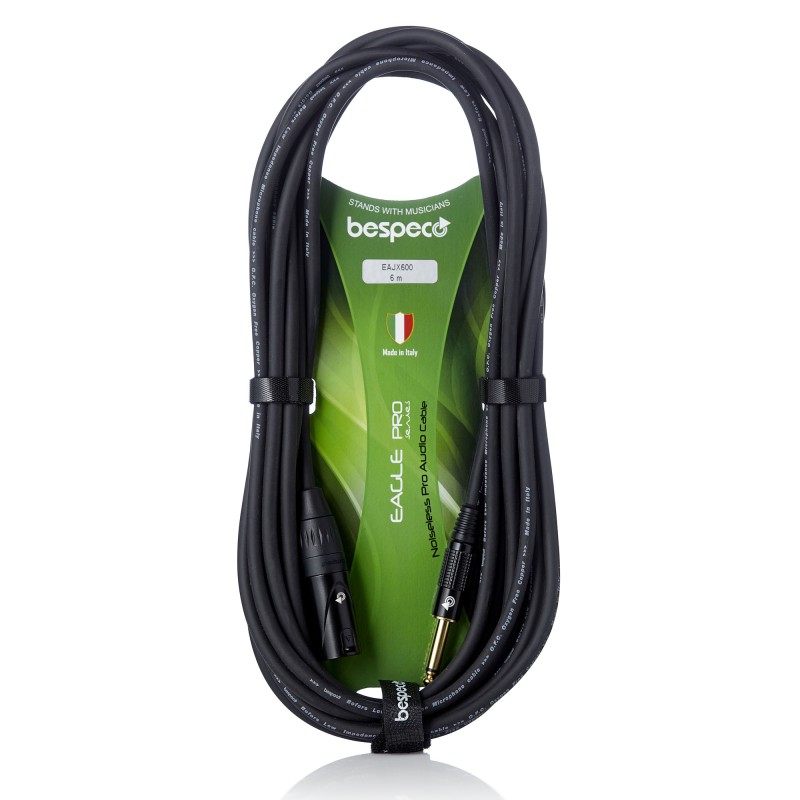 Cavo per speaker attivo - cannon maschio - jack  6,3 mm