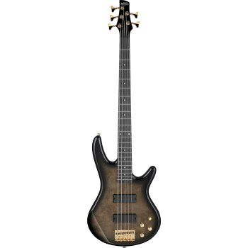 GSR205PCTPB - Transparent Pale Black Burst