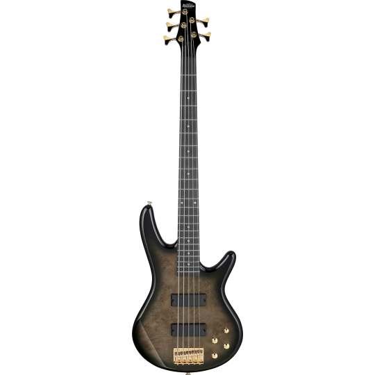 GSR205PCTPB - Transparent Pale Black Burst