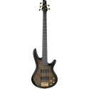 GSR205PCTPB - Transparent Pale Black Burst
