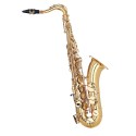 SAL700 Sax Contralto