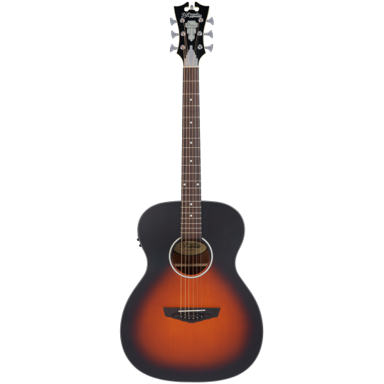 PREMIER TAMMANY Natural