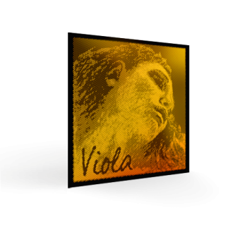Evah Pirazzi Gold - LA medium con pallino