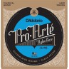 EJ46 Pro-Arte in nylon per chitarra classica, tensione forte